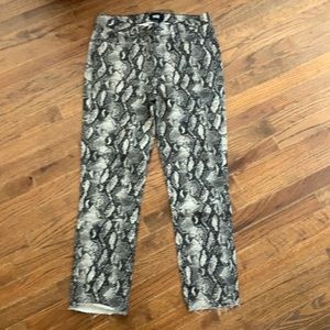 PAIGE snake 5 pocket classic